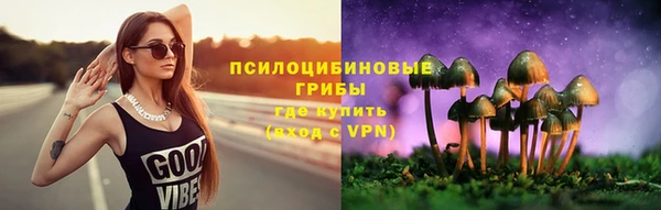 бошки Бугульма