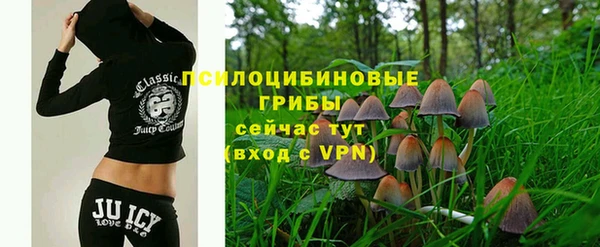 бошки Бугульма