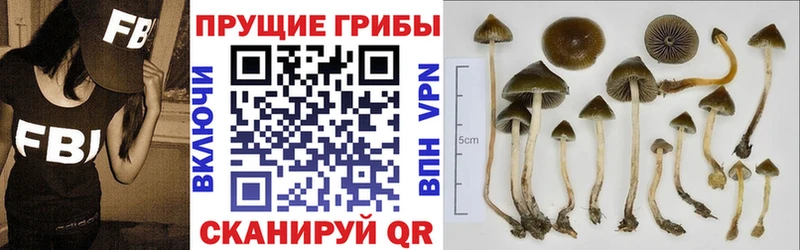 Псилоцибиновые грибы MAGIC MUSHROOMS  даркнет телеграм  Козловка 